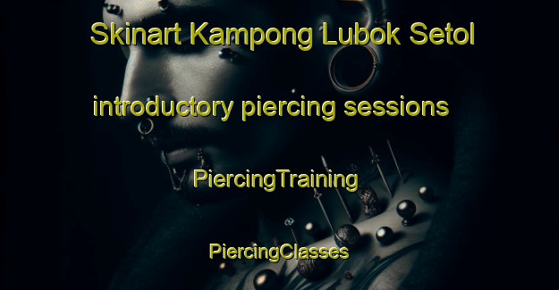 Skinart Kampong Lubok Setol introductory piercing sessions | #PiercingTraining #PiercingClasses #SkinartTraining-Malaysia