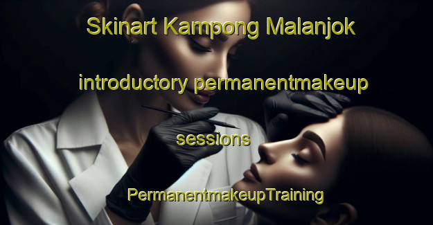 Skinart Kampong Malanjok introductory permanentmakeup sessions | #PermanentmakeupTraining #PermanentmakeupClasses #SkinartTraining-Malaysia