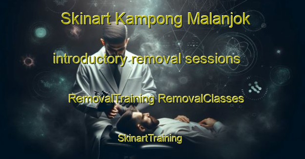 Skinart Kampong Malanjok introductory removal sessions | #RemovalTraining #RemovalClasses #SkinartTraining-Malaysia