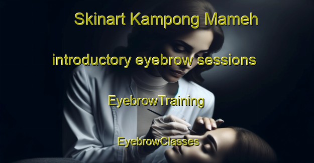 Skinart Kampong Mameh introductory eyebrow sessions | EyebrowTraining | EyebrowClasses | SkinartTraining-Malaysia