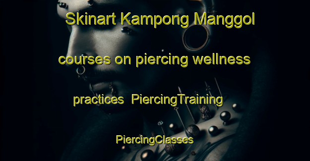 Skinart Kampong Manggol courses on piercing wellness practices | #PiercingTraining #PiercingClasses #SkinartTraining-Malaysia