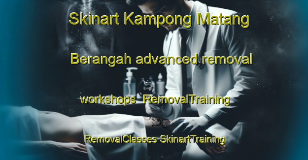 Skinart Kampong Matang Berangah advanced removal workshops | #RemovalTraining #RemovalClasses #SkinartTraining-Malaysia