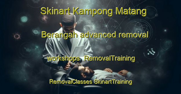 Skinart Kampong Matang Berangah advanced removal workshops | #RemovalTraining #RemovalClasses #SkinartTraining-Malaysia