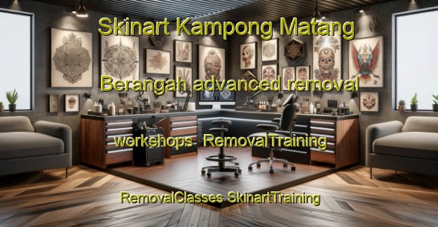 Skinart Kampong Matang Berangah advanced removal workshops | #RemovalTraining #RemovalClasses #SkinartTraining-Malaysia