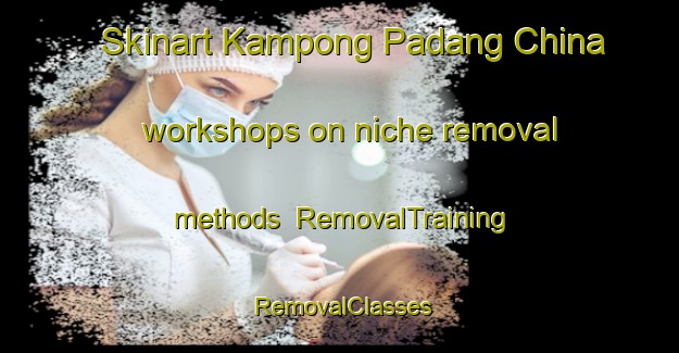 Skinart Kampong Padang China workshops on niche removal methods | RemovalTraining | RemovalClasses | SkinartTraining-Malaysia