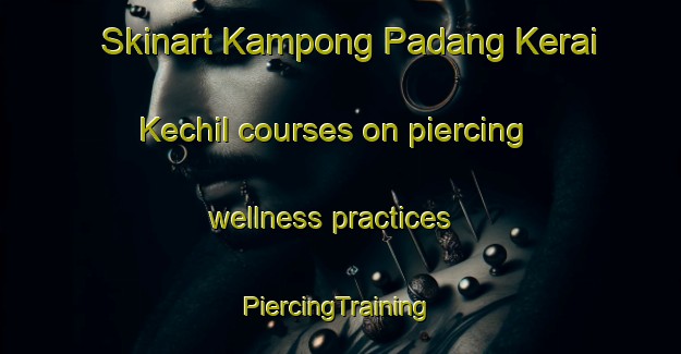 Skinart Kampong Padang Kerai Kechil courses on piercing wellness practices | #PiercingTraining #PiercingClasses #SkinartTraining-Malaysia