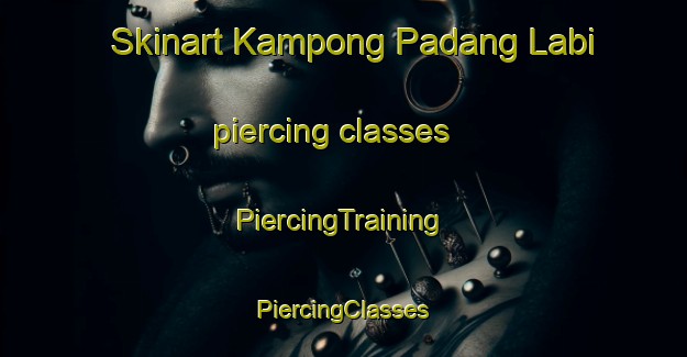 Skinart Kampong Padang Labi piercing classes | #PiercingTraining #PiercingClasses #SkinartTraining-Malaysia