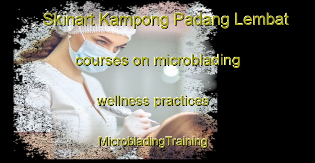 Skinart Kampong Padang Lembat courses on microblading wellness practices | MicrobladingTraining | MicrobladingClasses | SkinartTraining-Malaysia