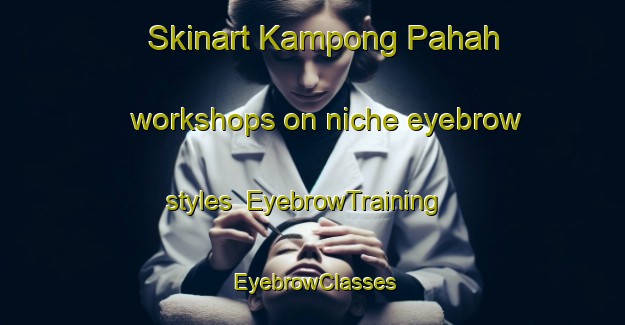 Skinart Kampong Pahah workshops on niche eyebrow styles | EyebrowTraining | EyebrowClasses | SkinartTraining-Malaysia