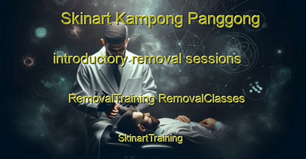 Skinart Kampong Panggong introductory removal sessions | #RemovalTraining #RemovalClasses #SkinartTraining-Malaysia