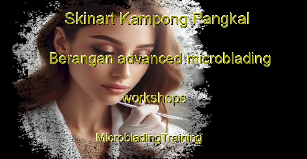 Skinart Kampong Pangkal Berangan advanced microblading workshops | MicrobladingTraining | MicrobladingClasses | SkinartTraining-Malaysia