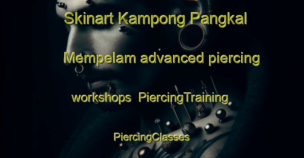 Skinart Kampong Pangkal Mempelam advanced piercing workshops | #PiercingTraining #PiercingClasses #SkinartTraining-Malaysia