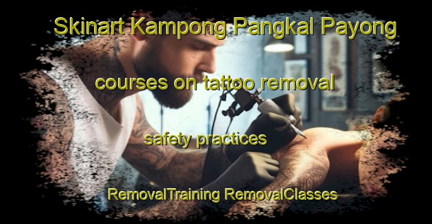 Skinart Kampong Pangkal Payong courses on tattoo removal safety practices | #RemovalTraining #RemovalClasses #SkinartTraining-Malaysia