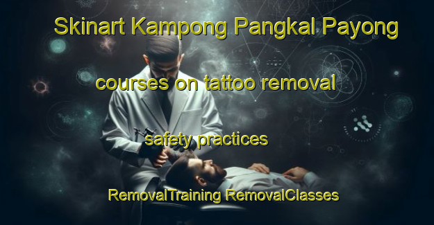 Skinart Kampong Pangkal Payong courses on tattoo removal safety practices | #RemovalTraining #RemovalClasses #SkinartTraining-Malaysia