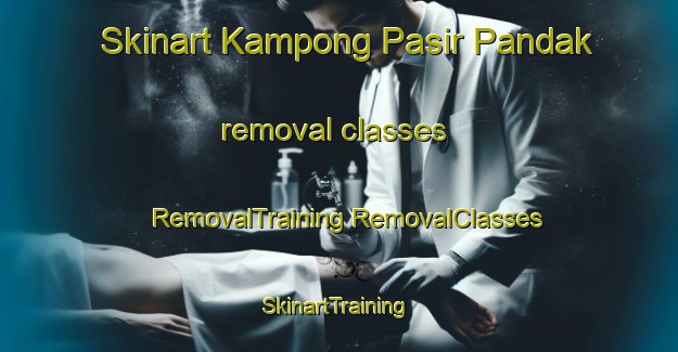 Skinart Kampong Pasir Pandak removal classes | #RemovalTraining #RemovalClasses #SkinartTraining-Malaysia