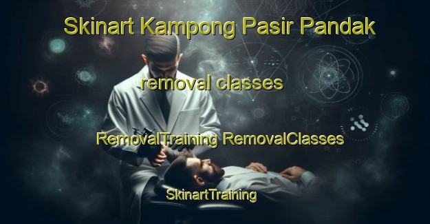 Skinart Kampong Pasir Pandak removal classes | #RemovalTraining #RemovalClasses #SkinartTraining-Malaysia