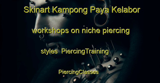 Skinart Kampong Paya Kelabor workshops on niche piercing styles | PiercingTraining | PiercingClasses | SkinartTraining-Malaysia