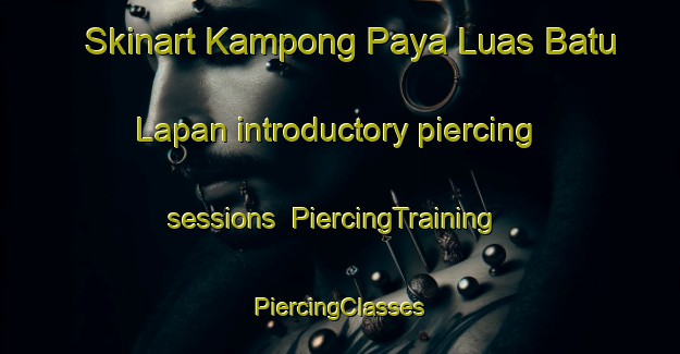 Skinart Kampong Paya Luas Batu Lapan introductory piercing sessions | #PiercingTraining #PiercingClasses #SkinartTraining-Malaysia