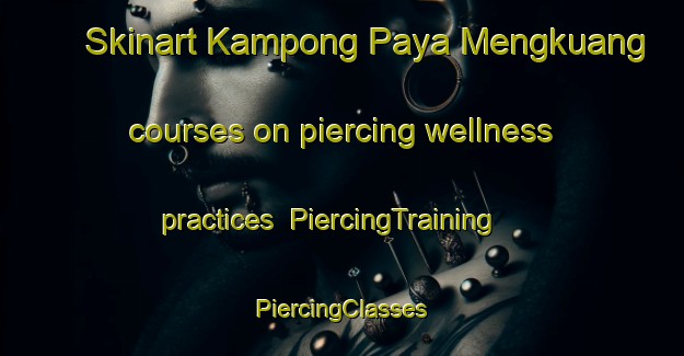 Skinart Kampong Paya Mengkuang courses on piercing wellness practices | #PiercingTraining #PiercingClasses #SkinartTraining-Malaysia