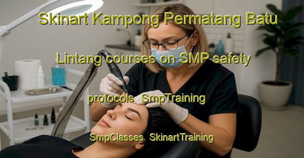 Skinart Kampong Permatang Batu Lintang courses on SMP safety protocols | SmpTraining | SmpClasses | SkinartTraining-Malaysia