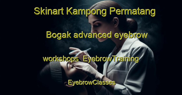 Skinart Kampong Permatang Bogak advanced eyebrow workshops | EyebrowTraining | EyebrowClasses | SkinartTraining-Malaysia