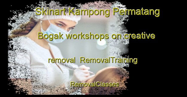 Skinart Kampong Permatang Bogak workshops on creative removal | RemovalTraining | RemovalClasses | SkinartTraining-Malaysia