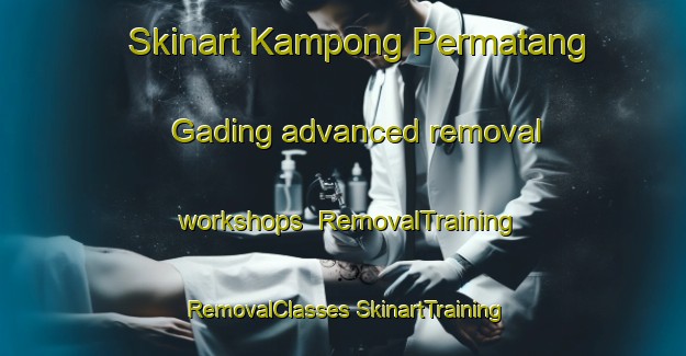 Skinart Kampong Permatang Gading advanced removal workshops | #RemovalTraining #RemovalClasses #SkinartTraining-Malaysia