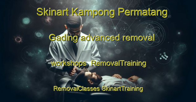 Skinart Kampong Permatang Gading advanced removal workshops | #RemovalTraining #RemovalClasses #SkinartTraining-Malaysia