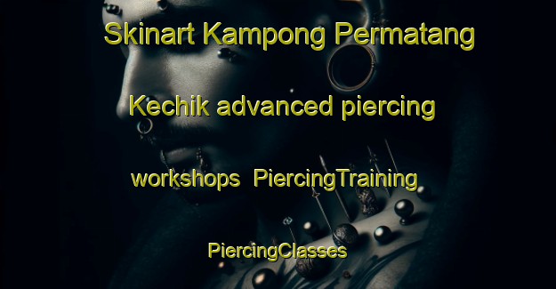 Skinart Kampong Permatang Kechik advanced piercing workshops | #PiercingTraining #PiercingClasses #SkinartTraining-Malaysia