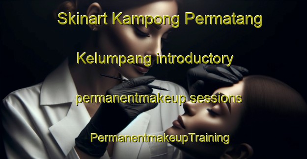 Skinart Kampong Permatang Kelumpang introductory permanentmakeup sessions | #PermanentmakeupTraining #PermanentmakeupClasses #SkinartTraining-Malaysia