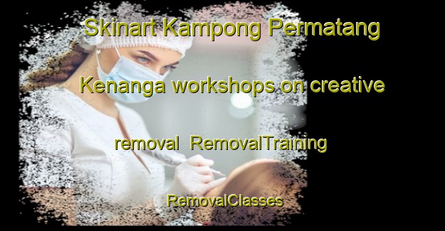 Skinart Kampong Permatang Kenanga workshops on creative removal | RemovalTraining | RemovalClasses | SkinartTraining-Malaysia