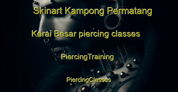 Skinart Kampong Permatang Kerai Besar piercing classes | #PiercingTraining #PiercingClasses #SkinartTraining-Malaysia