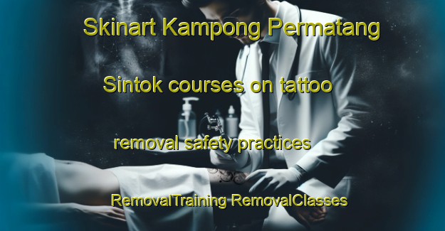 Skinart Kampong Permatang Sintok courses on tattoo removal safety practices | #RemovalTraining #RemovalClasses #SkinartTraining-Malaysia