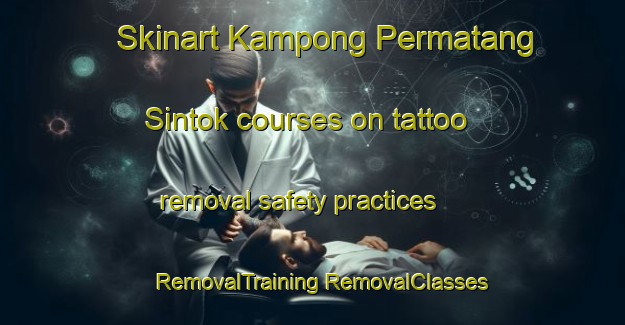 Skinart Kampong Permatang Sintok courses on tattoo removal safety practices | #RemovalTraining #RemovalClasses #SkinartTraining-Malaysia