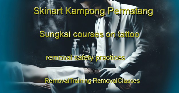 Skinart Kampong Permatang Sungkai courses on tattoo removal safety practices | #RemovalTraining #RemovalClasses #SkinartTraining-Malaysia