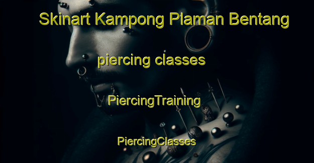 Skinart Kampong Plaman Bentang piercing classes | #PiercingTraining #PiercingClasses #SkinartTraining-Malaysia