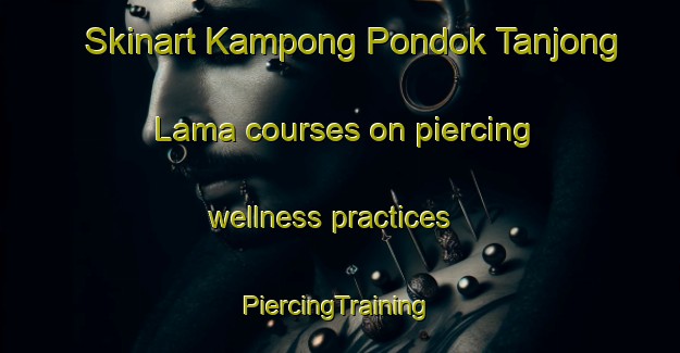 Skinart Kampong Pondok Tanjong Lama courses on piercing wellness practices | #PiercingTraining #PiercingClasses #SkinartTraining-Malaysia