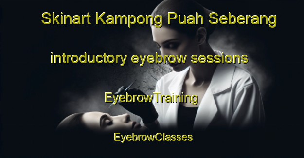 Skinart Kampong Puah Seberang introductory eyebrow sessions | EyebrowTraining | EyebrowClasses | SkinartTraining-Malaysia
