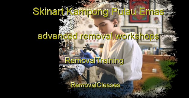 Skinart Kampong Pulau Emas advanced removal workshops | RemovalTraining | RemovalClasses | SkinartTraining-Malaysia
