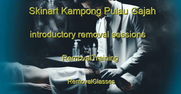 Skinart Kampong Pulau Gajah introductory removal sessions | RemovalTraining | RemovalClasses | SkinartTraining-Malaysia
