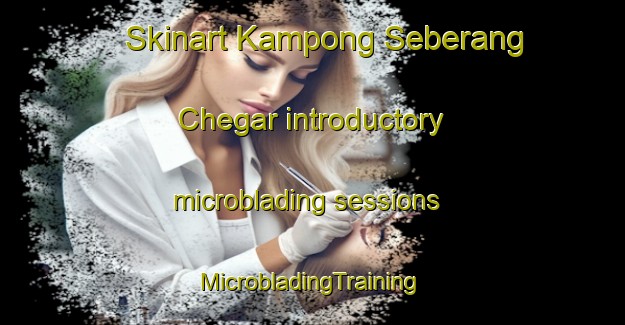 Skinart Kampong Seberang Chegar introductory microblading sessions | #MicrobladingTraining #MicrobladingClasses #SkinartTraining-Malaysia