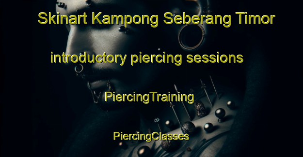 Skinart Kampong Seberang Timor introductory piercing sessions | #PiercingTraining #PiercingClasses #SkinartTraining-Malaysia