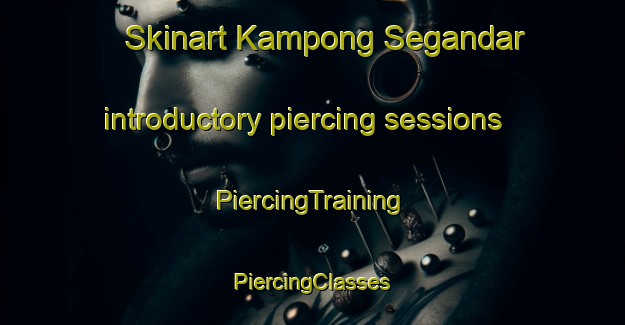 Skinart Kampong Segandar introductory piercing sessions | #PiercingTraining #PiercingClasses #SkinartTraining-Malaysia