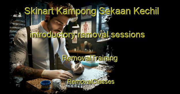 Skinart Kampong Sekaan Kechil introductory removal sessions | RemovalTraining | RemovalClasses | SkinartTraining-Malaysia