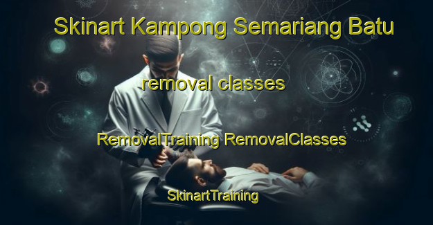 Skinart Kampong Semariang Batu removal classes | #RemovalTraining #RemovalClasses #SkinartTraining-Malaysia