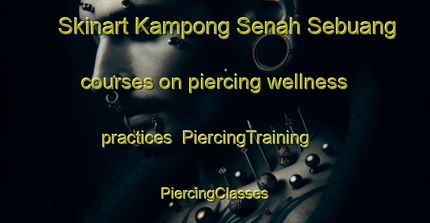 Skinart Kampong Senah Sebuang courses on piercing wellness practices | #PiercingTraining #PiercingClasses #SkinartTraining-Malaysia