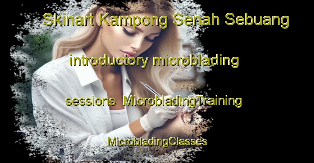 Skinart Kampong Senah Sebuang introductory microblading sessions | #MicrobladingTraining #MicrobladingClasses #SkinartTraining-Malaysia