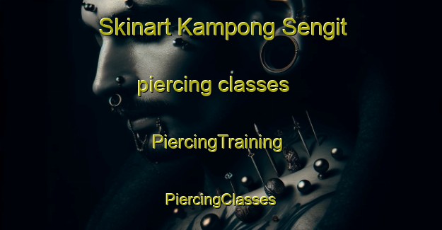 Skinart Kampong Sengit piercing classes | #PiercingTraining #PiercingClasses #SkinartTraining-Malaysia