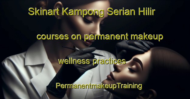 Skinart Kampong Serian Hilir courses on permanent makeup wellness practices | #PermanentmakeupTraining #PermanentmakeupClasses #SkinartTraining-Malaysia