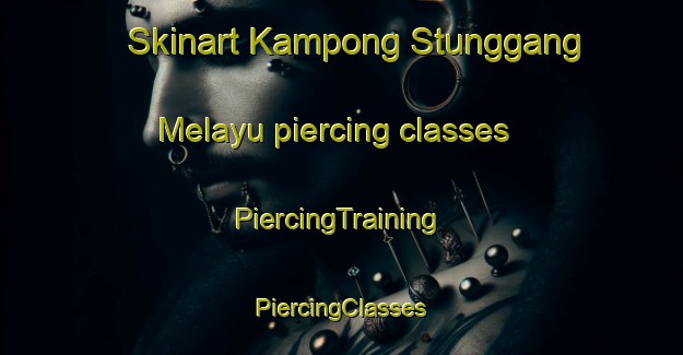 Skinart Kampong Stunggang Melayu piercing classes | #PiercingTraining #PiercingClasses #SkinartTraining-Malaysia